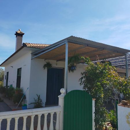 Alojamiento Rural La Perdiz La Puebla de los Infantes Exterior photo